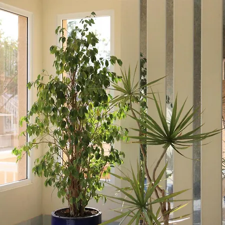 Appartement Apartamento Completo Cristal Playa *