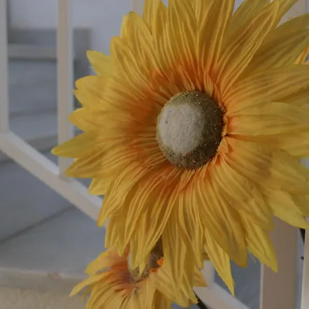 Appartement Apartamento Completo Cristal Playa La Manga del Mar Menor