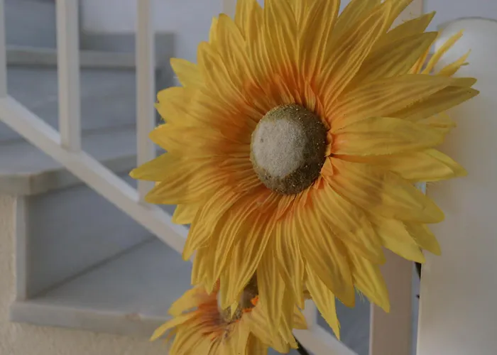 Апартаменты Apartamento Completo Cristal Playa Ла-Манга-дель-Мар-Менор